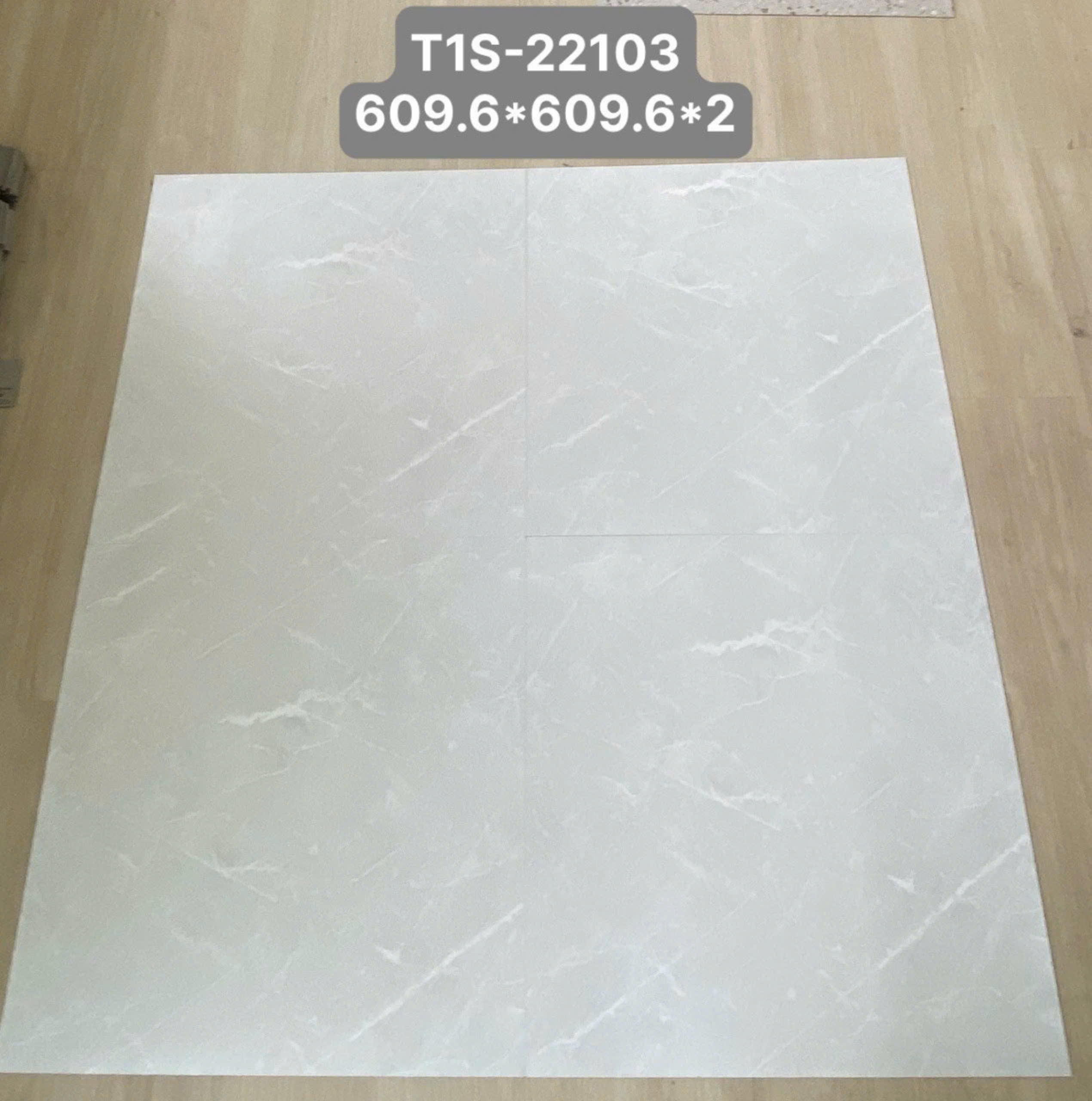 SÀN NHỰA MSFLOOR T1S-22103