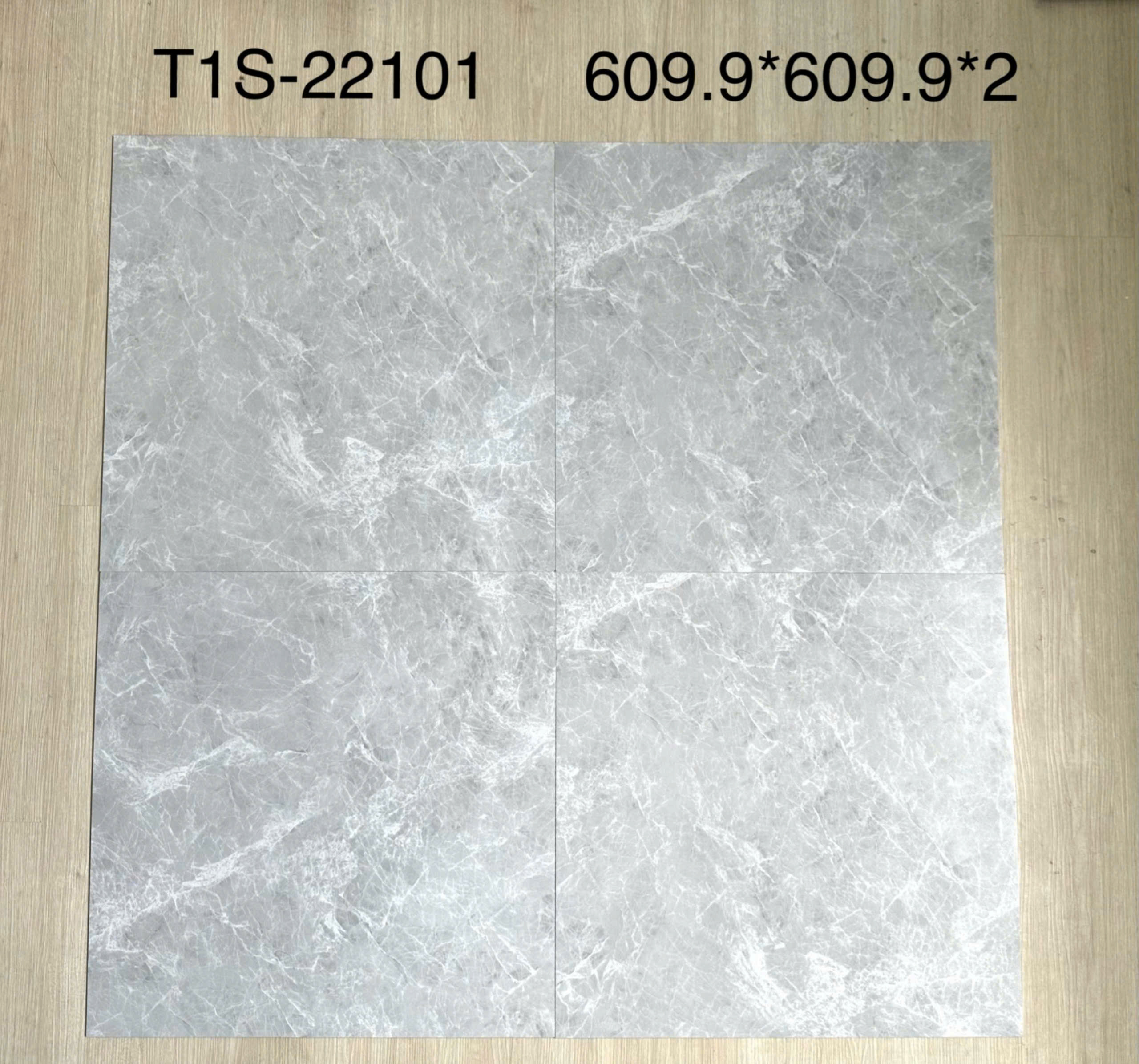 SÀN NHỰA MSFLOOR T1S-22101