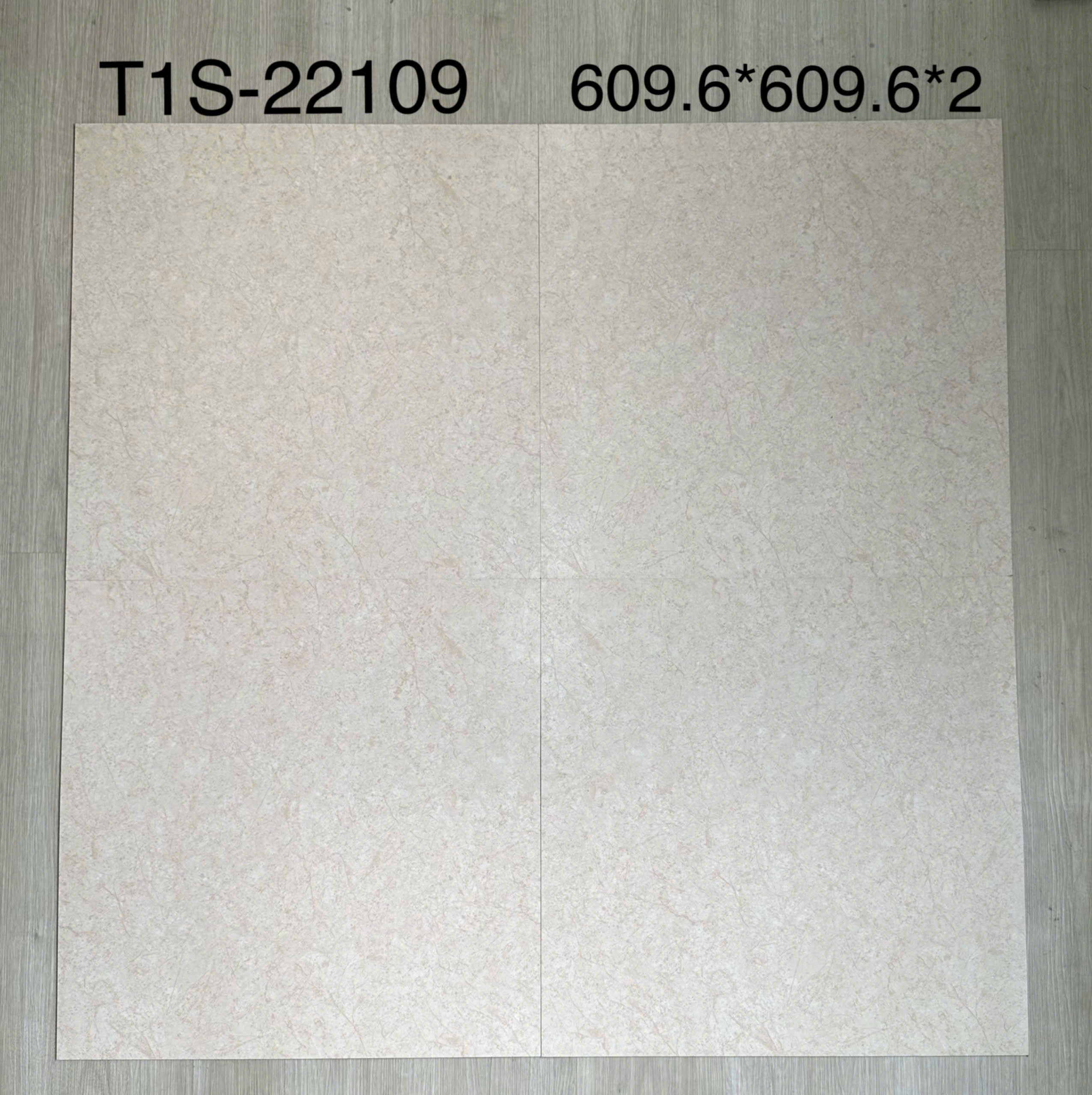 SÀN NHỰA MSFLOOR T1S-22109